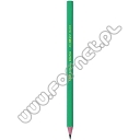 Ołówek Bic Evolution HB